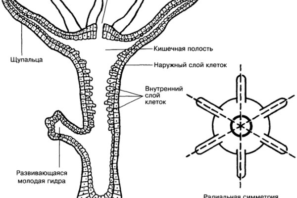 Магазины наркотиков