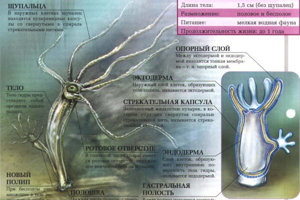 Kraken это современный маркетплейс