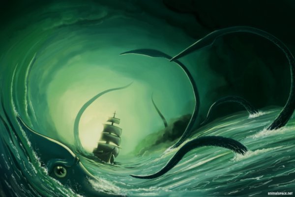Kraken market