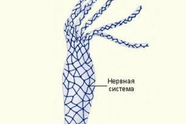Ссылки на даркнет