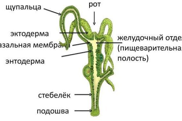 Мега зеркала тор онион мориарти кракен