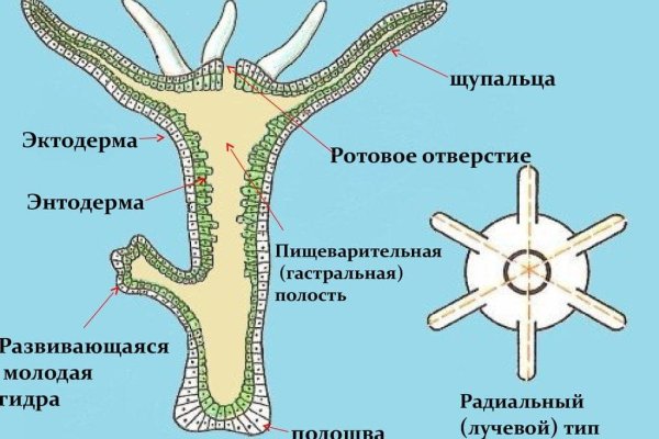 Kraken рабочая ссылка onion