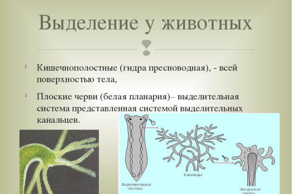 Кракен онион ссылки