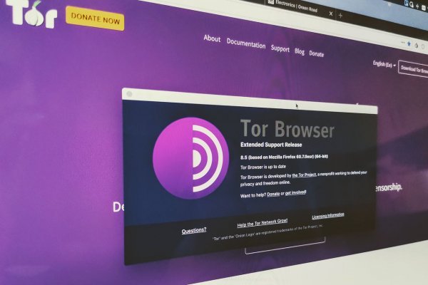 Kraken online