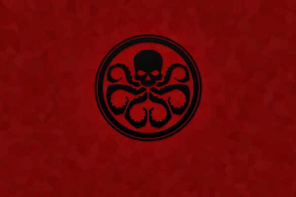 Kraken 19at