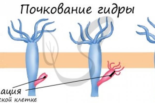 Что такое кракен шоп